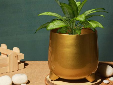 Classic Gold-Toned Solid Metal Planter With legs | Golden | Plant Not Included Online now