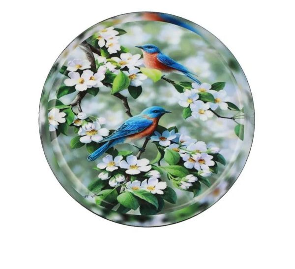 Miracle Garden Wall Plates | Set of 3 Discount