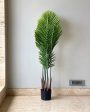 The Allure of Artificial Palm Plant Without Pot | Green | 4 Feet Online Sale