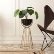 Teja Black & Gold Bloom Planter Online