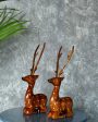 Sitting Wooden Deer | Set Of 2 Online