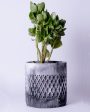 Bold Geometric Structure Dimen Concrete Planter | White |Plant Not Included Cheap