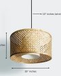 Classic Yet Contemporary Ceiling Lamp | 16 x 8 inches Hot on Sale