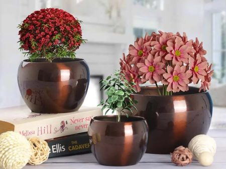 Sunshine Elegant  Brown Metallic Finished Table Top Planters | Set of 3 Online