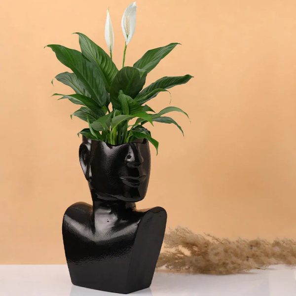 Visionary Face Planter | Multiple Colors Supply