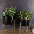 Black Planter with Golden Detachable Stand | Plant Not Included Cheap