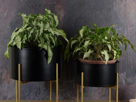 Black Planter with Golden Detachable Stand | Plant Not Included Cheap