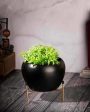 Bowl Shape Metal Planter Stand |15 x 12 cm  6 x 5 inches Sale