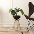 Teja Black & Gold Bloom Planter Online