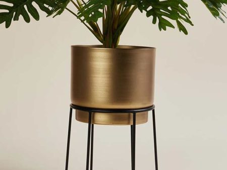 Modern Design Stand With Planter Pot Without Plant | 7 x 10 inches For Sale