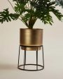 Modern Design Stand With Planter Pot Without Plant | 7 x 10 inches For Sale