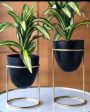 Elegant Metal Design Stand With Planter Pot Without Plant | Pack of 2 For Sale