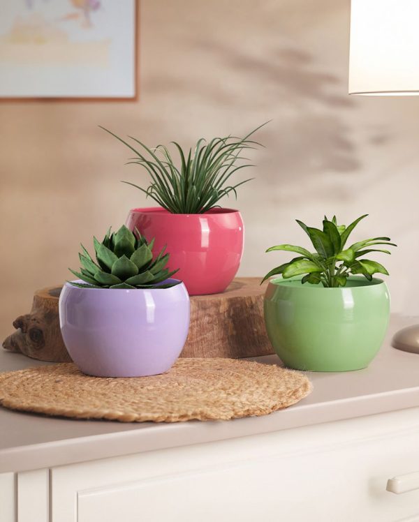 Sunshine Table Top Pot Planter Withour Plant | Set of 3 Online now