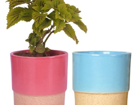 Classy Ceramic Planter Pots | Set of 2 | Plant Not Included For Discount