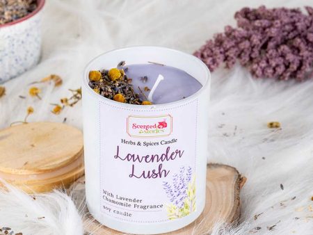 Lavender Lush Scented Candle Soothing Scent for Relaxation | 22.9 x 20.3 cm   9 x 8 inches Online Sale