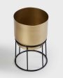 Modern Design Stand With Planter Pot Without Plant | 7 x 10 inches For Sale