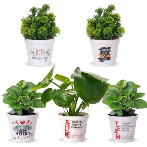 Pubela Melamine Planters | Set of 5 Supply