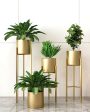 Tall Indoor Plant Stand with Planter Pot | Set of 3 Supply