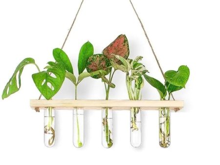 1 Tier Wall Hanging  With 5 Test Tube Planters Online Hot Sale