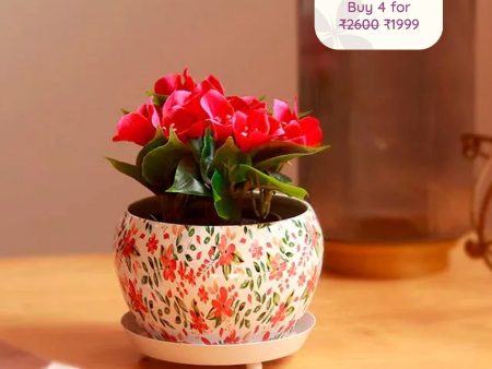 The Lily White Floral Metal Pot With Saucer Plate Online Sale