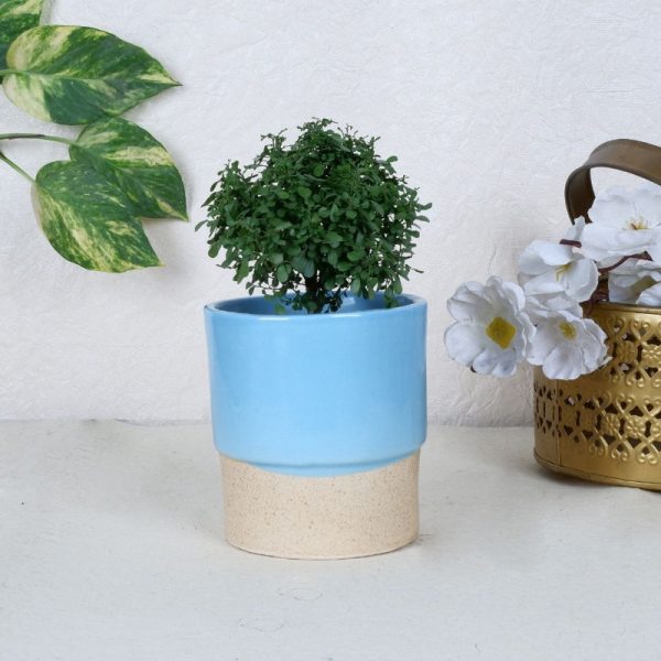 Classy Ceramic Planter Pots | Set of 2 | Plant Not Included For Discount