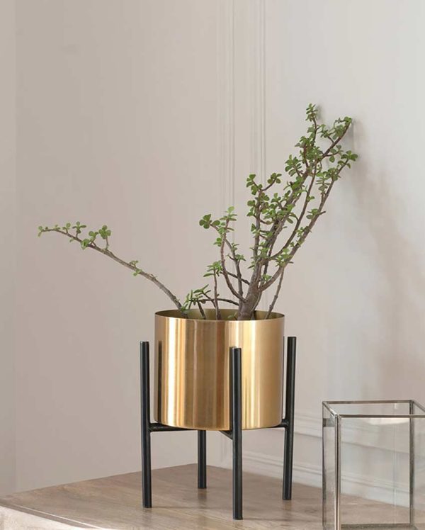 Contemporary Cylindrical Design Stand With Planter Pot Without Plant | 7 x 10 inches Hot on Sale