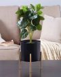 Stylish Cylindrical Metal Design Stand With Planter Pot Without Plant | 7 x 10 inches For Sale