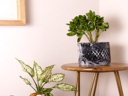 Bold Geometric Structure Dimen Concrete Planter | White |Plant Not Included Cheap