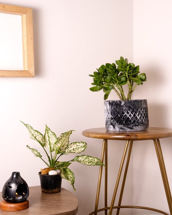 Bold Geometric Structure Dimen Concrete Planter | White |Plant Not Included Cheap