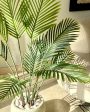 The Allure of Artificial Palm Plant Without Pot | Green | 4 Feet Online Sale