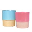 Classy Ceramic Planter Pots | Set of 2 | Plant Not Included For Discount