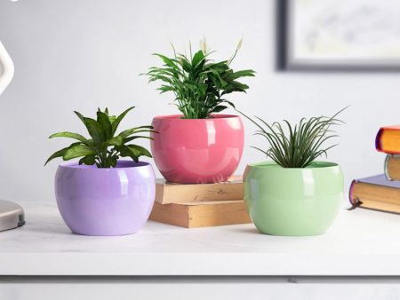 Sunshine Table Top Pot Planter Withour Plant | Set of 3 Online now