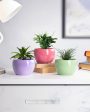 Sunshine Table Top Pot Planter Withour Plant | Set of 3 Online now