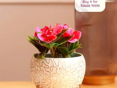 The Porto White & Gold Metal Elegance Pot With Stand Discount